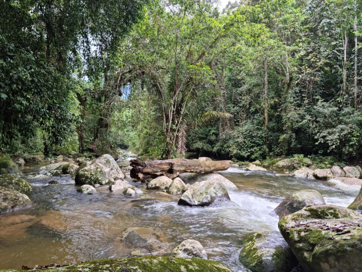 Recanto Da Margo 1, Casa Com Acesso A Cachoeira Araquari Exterior photo