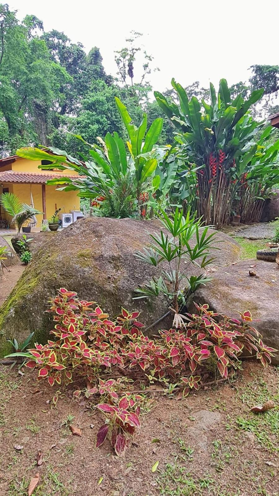 Recanto Da Margo 1, Casa Com Acesso A Cachoeira Araquari Exterior photo