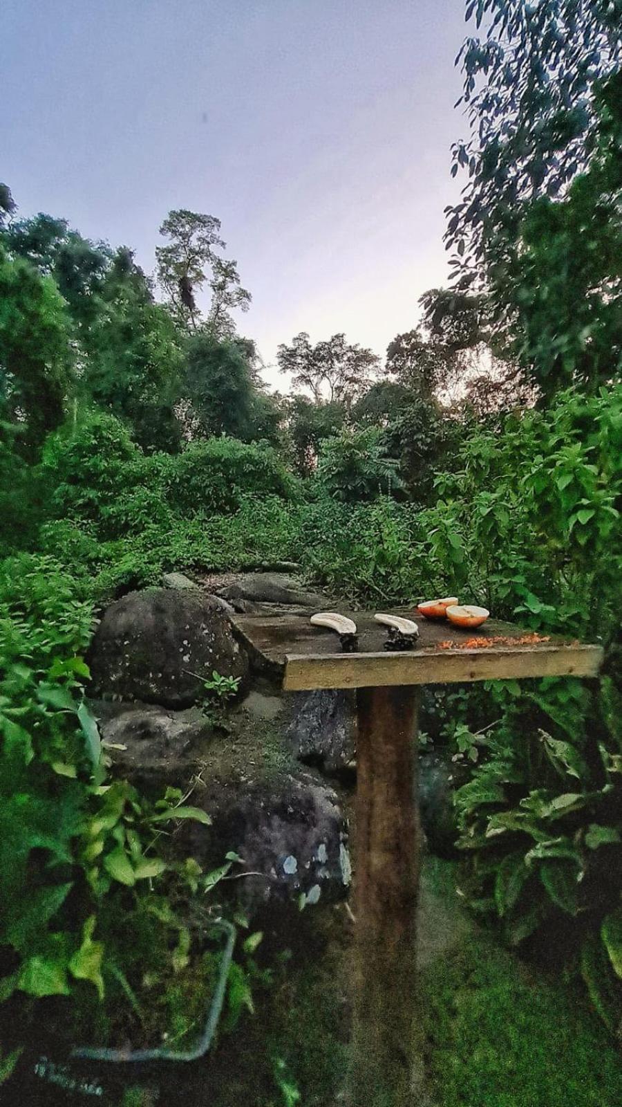 Recanto Da Margo 1, Casa Com Acesso A Cachoeira Araquari Exterior photo