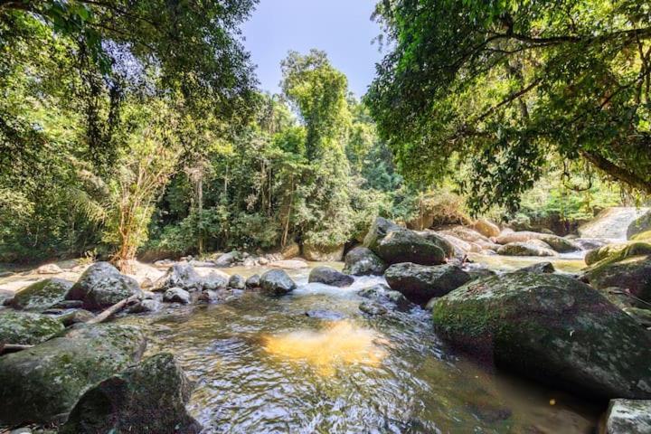 Recanto Da Margo 1, Casa Com Acesso A Cachoeira Araquari Exterior photo